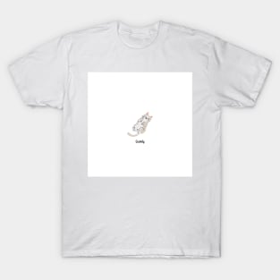 A comfortable cat T-Shirt